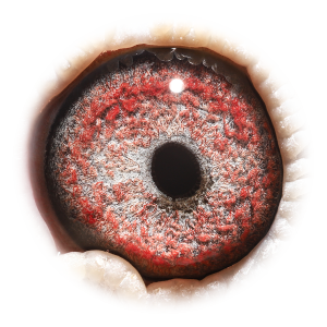 Eye of Daughter Super 757