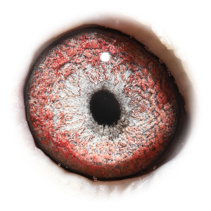 眼睛 Big Ben Uranus