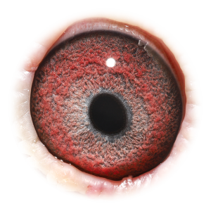 Oog van Hurricane Jupiter