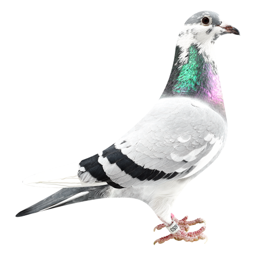 Granddaughter Mathieu