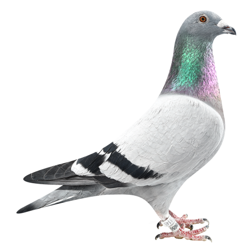 Natalia Kannibaal 50