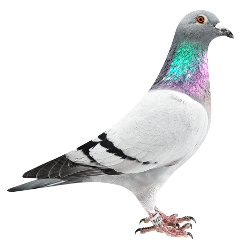 Jupiter & Murphy's Law