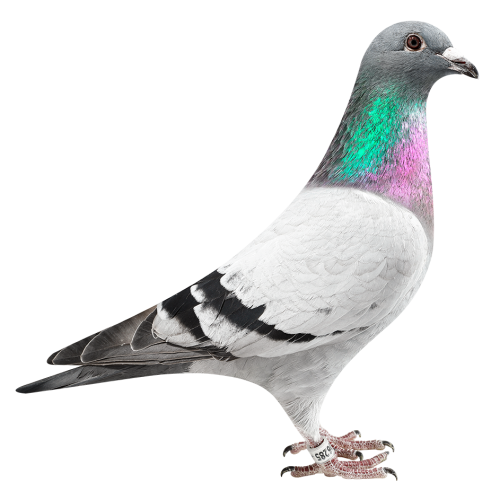 墨菲的天王星错误